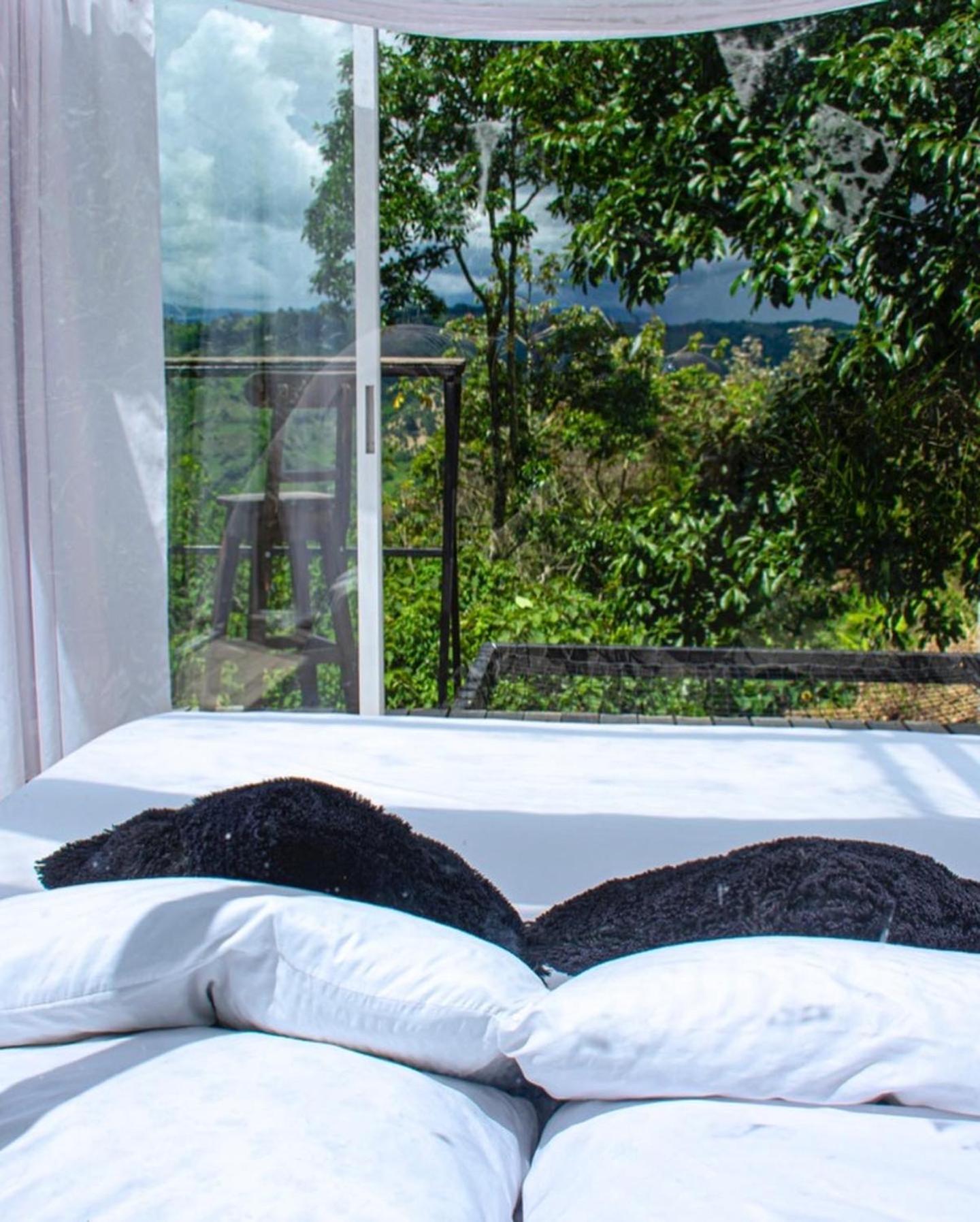 Saray Glamping *