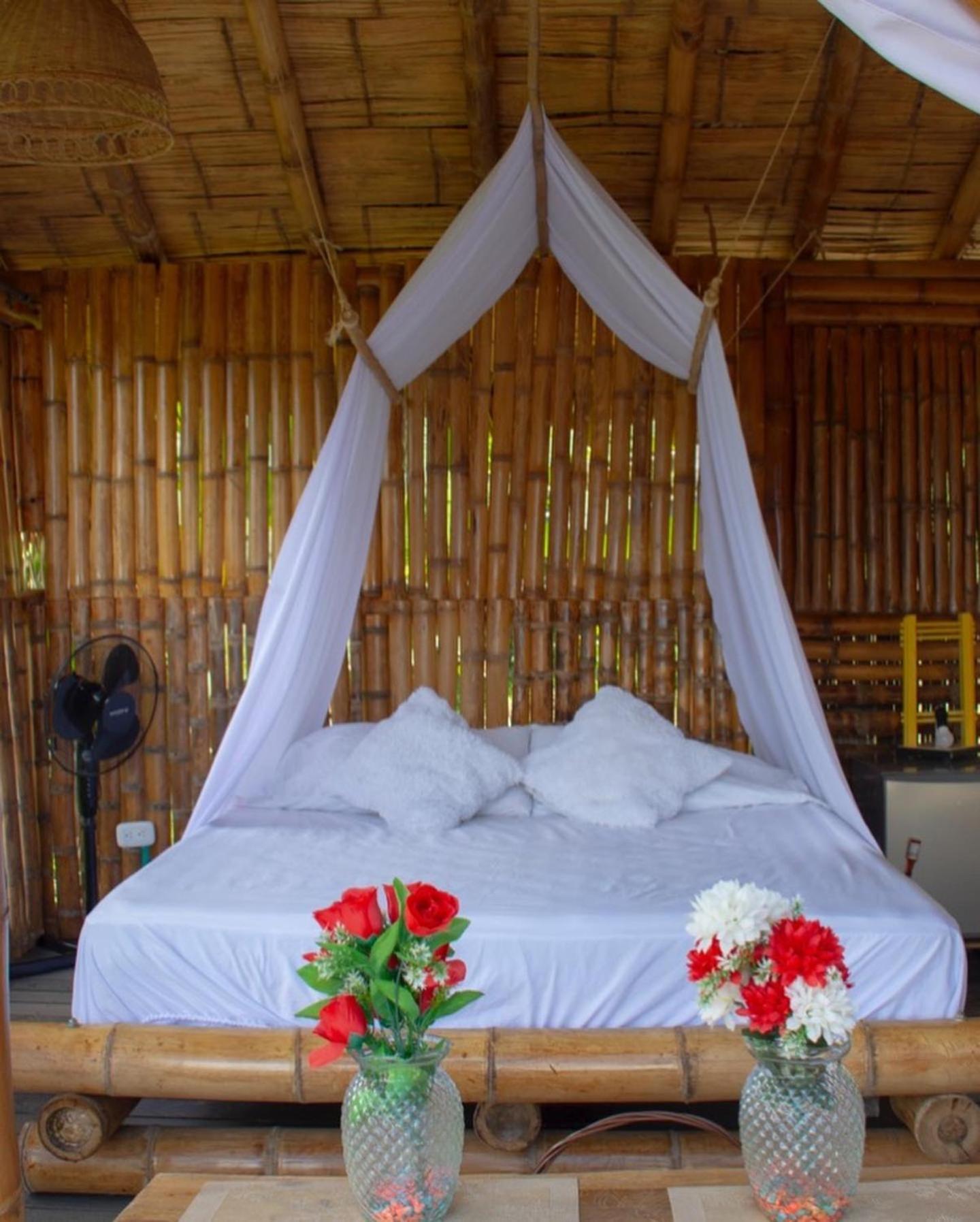 Saray Glamping * Palestina (Caldas)