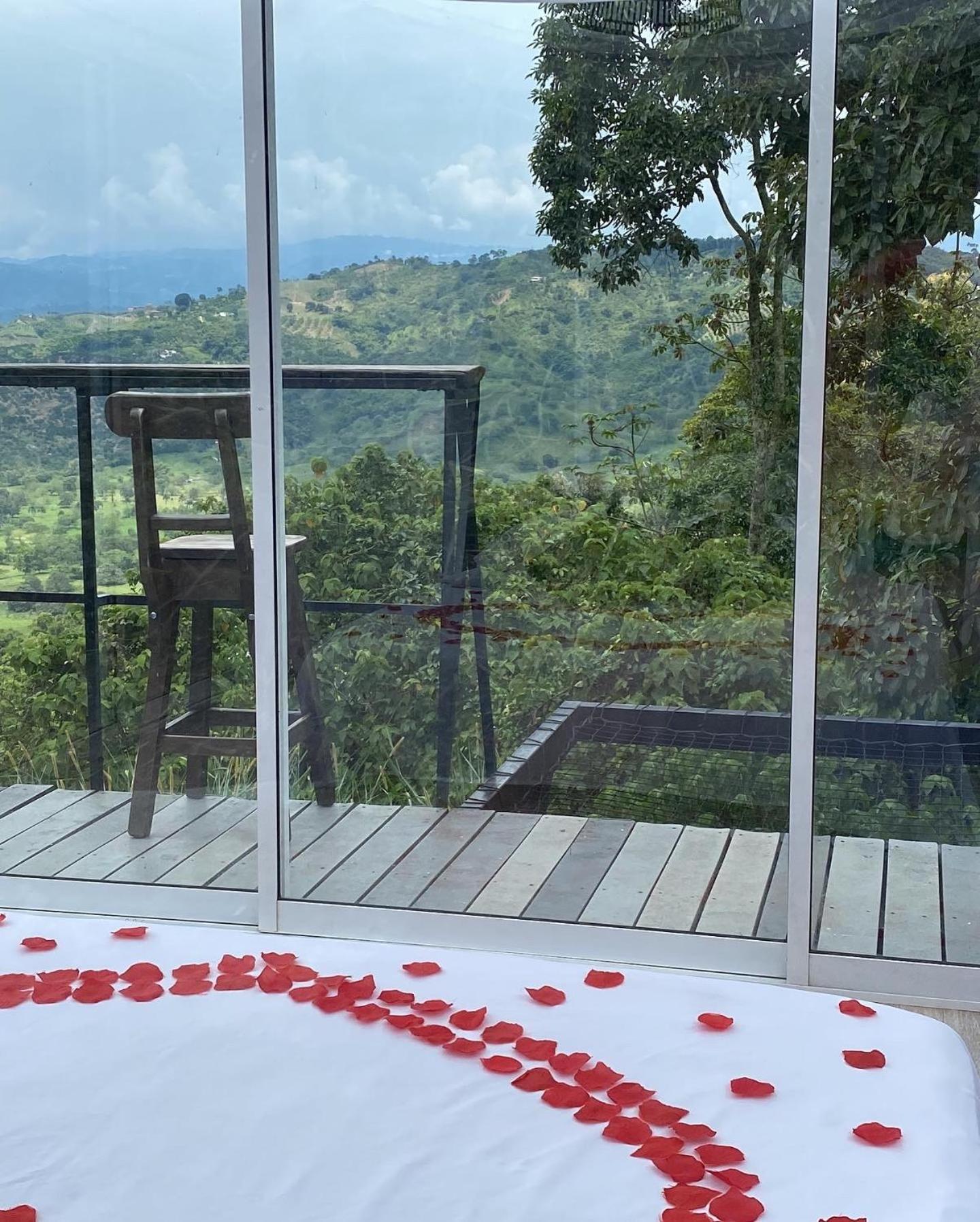 Saray Glamping